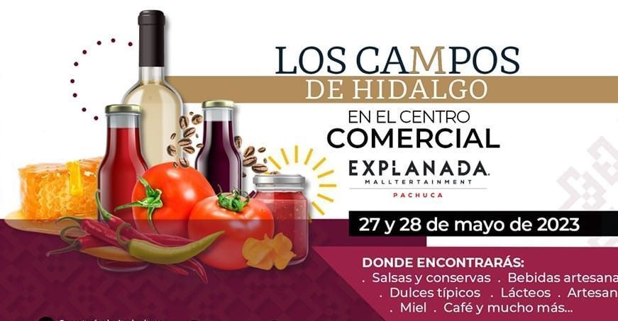 No te pierdas exposición Los Campos de Hidalgo, en Pachuca