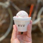 No te pierdas la Feria del Helado Artesanal, en Atotonilco El Grande