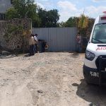 Continúa la búsqueda de gorila en Hidalgo; aún sin rastro
