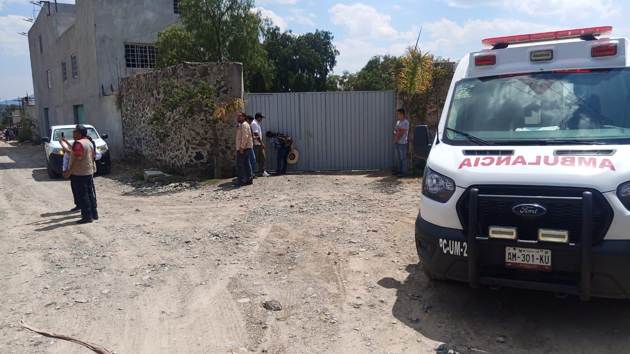 Continúa la búsqueda de gorila en Hidalgo; aún sin rastro