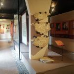 Realizarán programa Verano cultural en tu museo