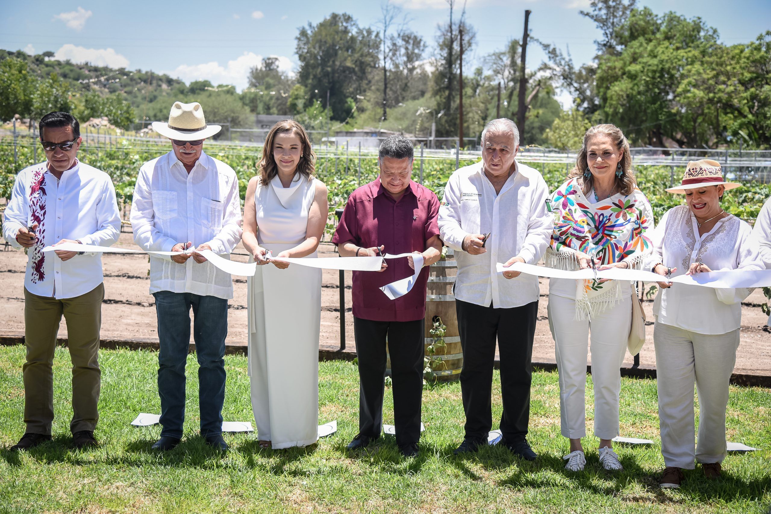 Menchaca Salazar inaugura viñedo “Tierra y Almas” en Tecozautla