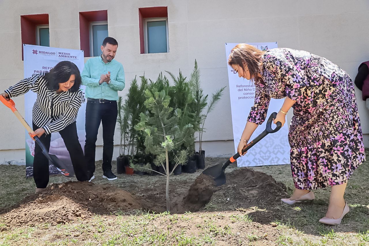 Implementan programas de reforestación y preservación de la Tuza en Hospital del Niño