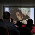 Hidalgo se posiciona como líder en la conservación de la tuza