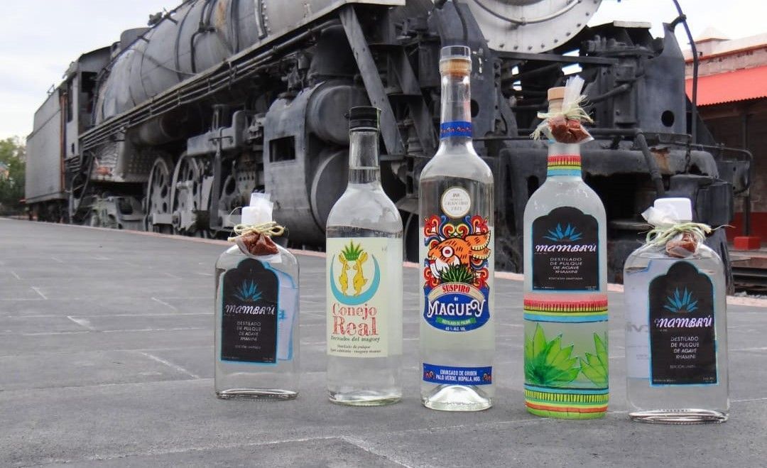 Pachuca albergará la primera Expo Destilados de Pulque Una gran fiesta se vivirá en Pachuca con la primera edición de la Expo Destilados del Pulque Hidalgo 2024, en la que participarán productores de la entidad. Será el 7 y 8 de septiembre en las instalaciones de la feria donde se desarrolle el evento, en el que se prevé la presencia de productores de destilados de pulque de diversos municipios, con el objetivo de mostrar la oportunidad de desarrollo económico que se puede lograr a través del manejo integral del maguey pulquero. Aquí, los amantes de las bebidas podrán disfrutar del sabor único que han impregnado en cada uno de los destilados, que ya han conquistado paladares de otras partes del mundo pues han participado en eventos internacionales. En Hidalgo hay 4 mil hectáreas de magueyes, y un aproximado de 2 mil 500 productores que se dedican a actividades relacionadas con el pulque, sobre todo en Apan, el Valle del Mezquital y la región Otomí-Tepehua. Por ello, se realiza esta exposición para conocer más de sus productos y combinarlo con gastronomía y presentaciones culturales de Hidalgo.