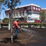 Como parte de la restauración del Jardín de los Hombres Ilustres, ubicado a un costado de la Plaza Juárez de Pachuca, la Secretaría de Medio Ambiente y Recursos Naturales de Hidalgo (Semarnath), informó que los árboles con los que se lleva a cabo la reforestación de este espacio ofrecerán importantes servicios ambientales, como un microclima que propiciará la llegada de aves e insectos polinizadores.