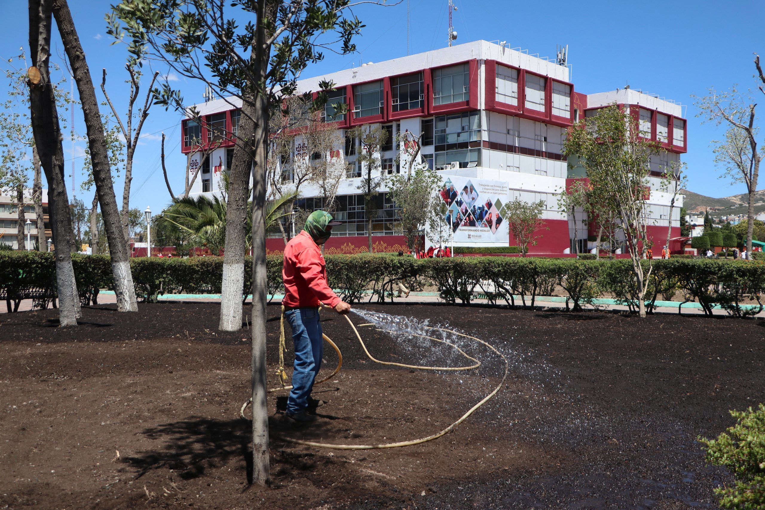 Como parte de la restauración del Jardín de los Hombres Ilustres, ubicado a un costado de la Plaza Juárez de Pachuca, la Secretaría de Medio Ambiente y Recursos Naturales de Hidalgo (Semarnath), informó que los árboles con los que se lleva a cabo la reforestación de este espacio ofrecerán importantes servicios ambientales, como un microclima que propiciará la llegada de aves e insectos polinizadores.