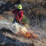 Dignifican labor de brigadistas de incendios forestales en Hidalgo