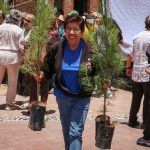 Donan más de 100 mil plantas para impulsar la restauración ecológica en Hidalgo
