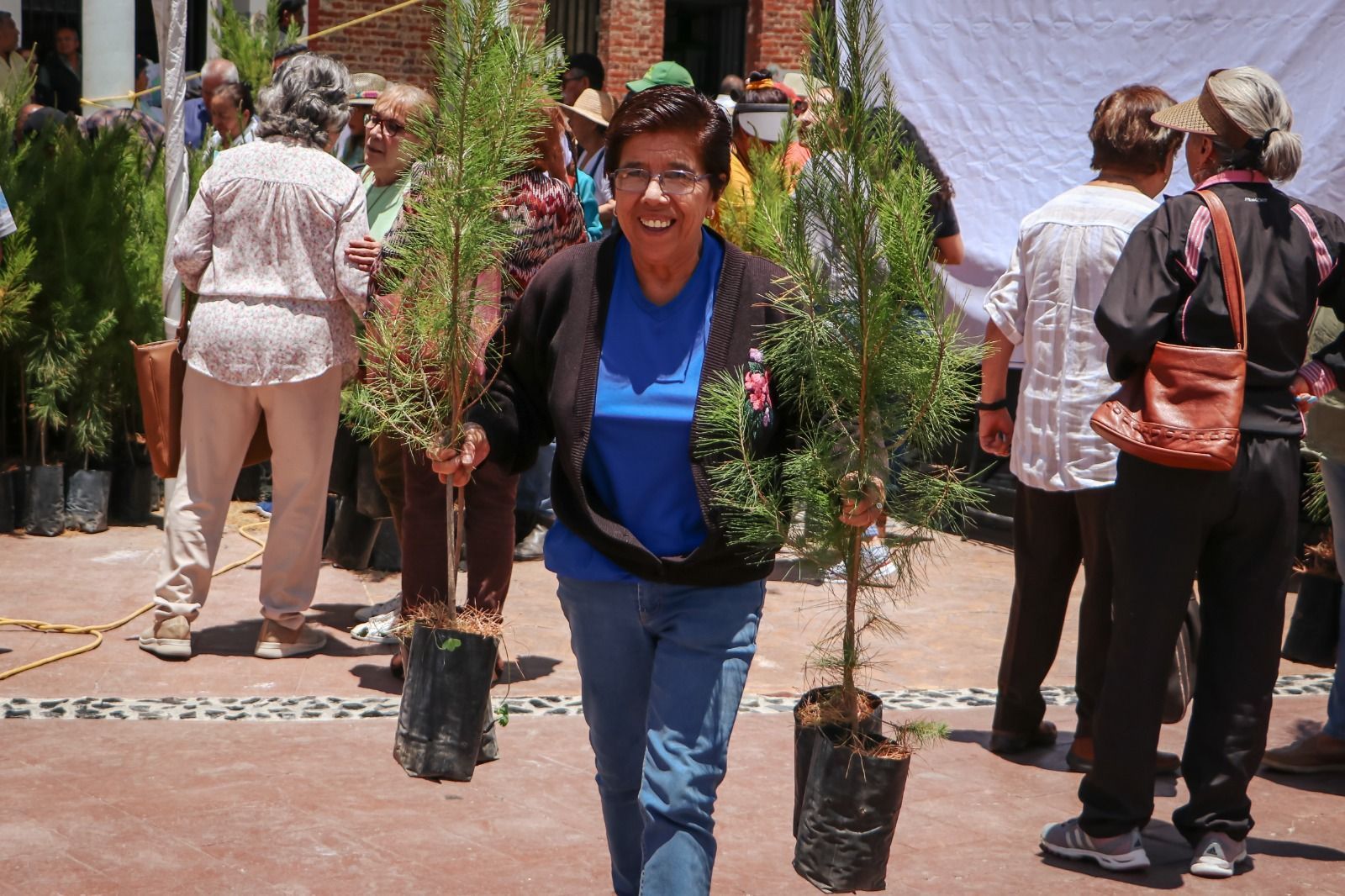 Donan más de 100 mil plantas para impulsar la restauración ecológica en Hidalgo