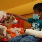 Hospital del Niño DIF Hidalgo, institución pionera en terapia canina