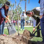 Plantan Árbol de Fuego en jardín de Pachuca