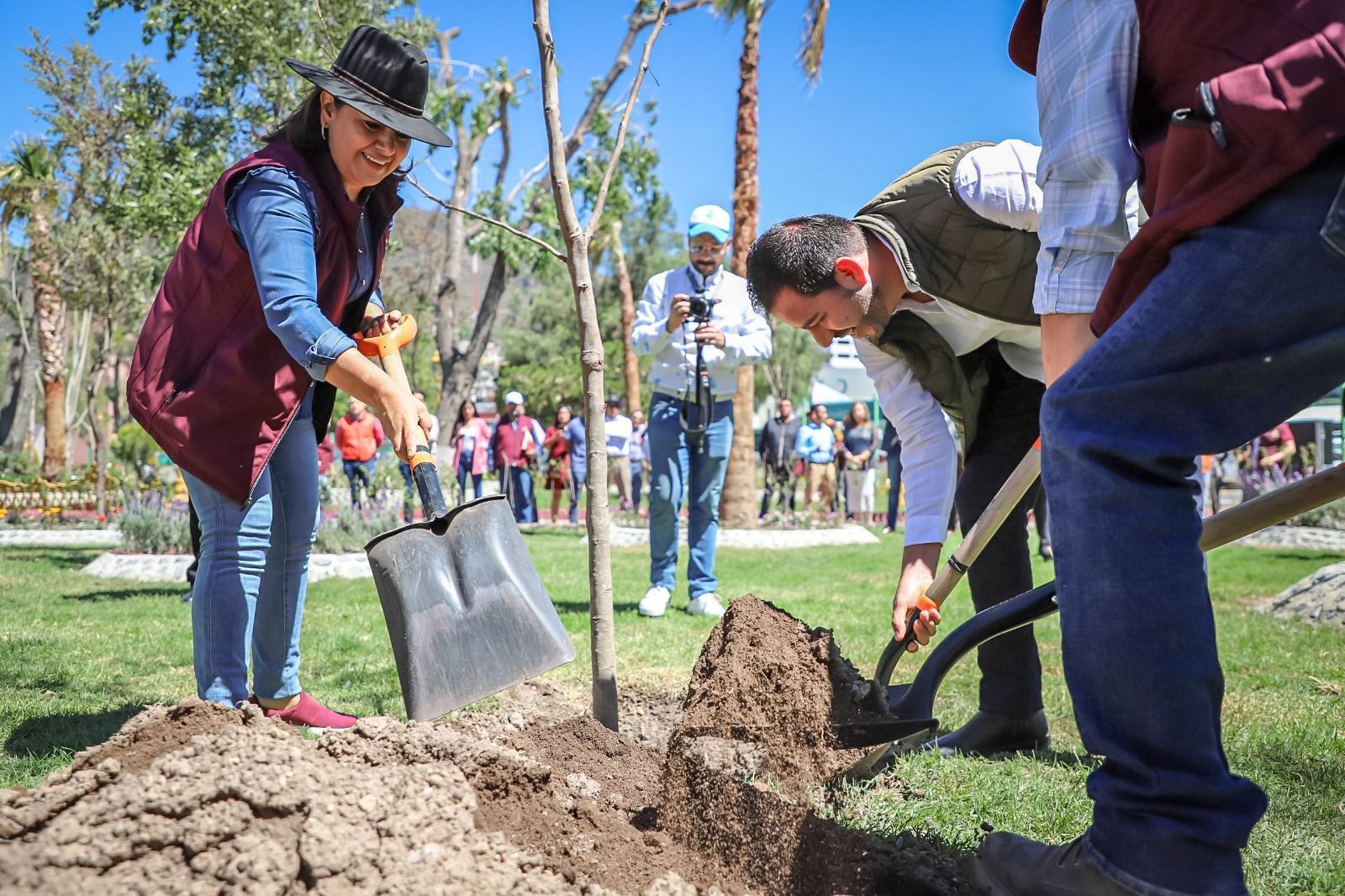 Plantan Árbol de Fuego en jardín de Pachuca