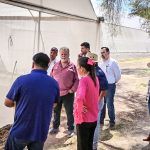 Constituyen en Hidalgo la primera Sociedad Cooperativa con capital migrante
