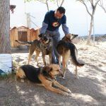 UAEH tiene colectivo para apoyar a perritos en sus instalaciones