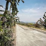 Organizan eventos para celebrar la creación del Parque Ecológico Cubitos