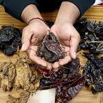Chile rayado hidalguense podría obtener la Denominación de Origen