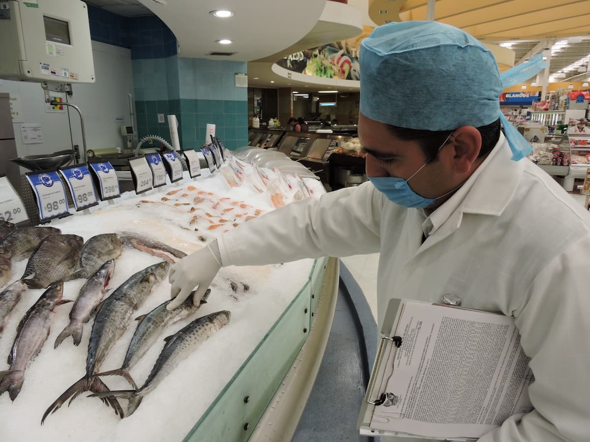 Vigila Copriseh venta de productos pesqueros en la entidad