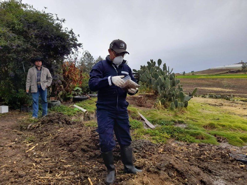 15 bovinos intoxicados en Metepec; este lunes, resultados de pruebas