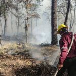 Atienden 35 incendios forestales en Hidalgo