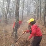 Tras ocho días, reportan control de incendio en Nicolás Flores