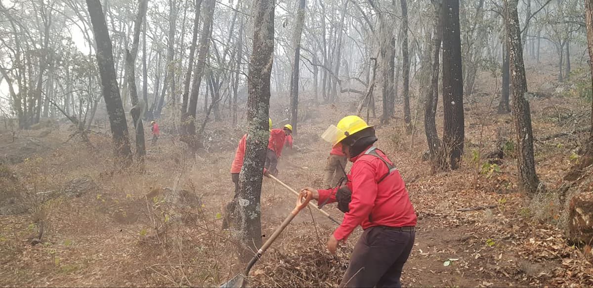Tras ocho días, reportan control de incendio en Nicolás Flores