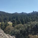 Desarrollan reunión de prevención de riesgos en temporada vacacional