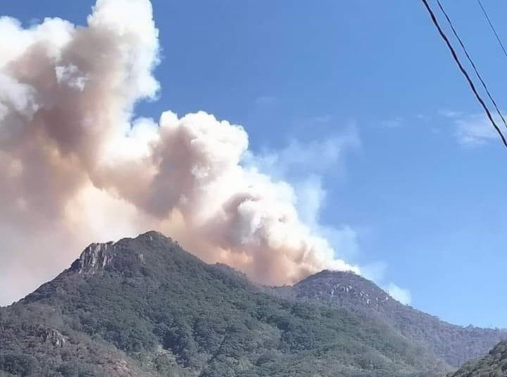 Habrá apoyo aéreo para combatir incendio en Nicolás Flores