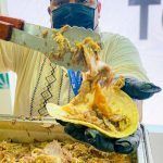 Barbacoa de Hidalgo conquista el Tianguis Turístico 2024