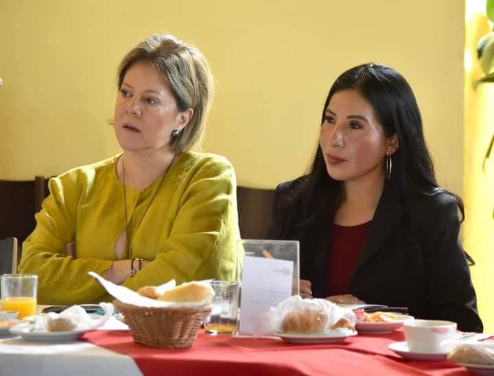 Zona Metropolitana requiere políticas públicas acordes con la realidad: Hilda Miranda