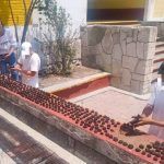Participan centros penitenciarios en proyecto de reforestación 