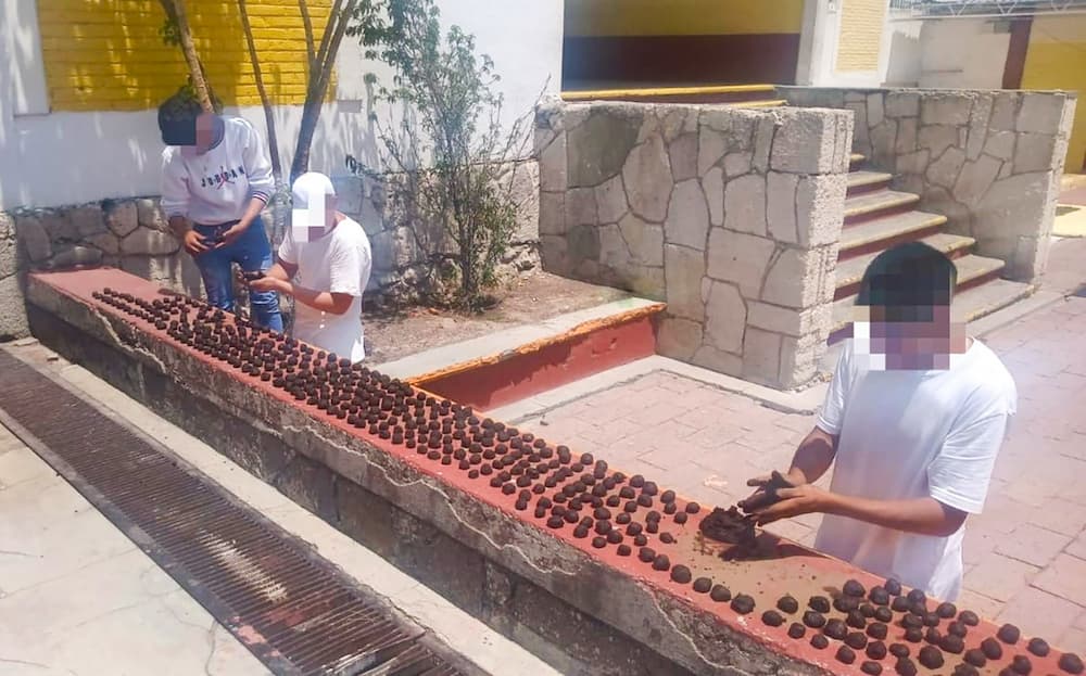 Participan centros penitenciarios en proyecto de reforestación 