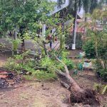 Alberto dejó derrumbes en Hidalgo, pero sin cierres carreteros “Efectivamente, se han presentado más derrumbes por piedras en la zona de la Sierra, pero principalmente en la zona de Nicolás Flores, en Parte de Chapulhuacán, Tepehuacán, pero hasta el momento no ha habido derrumbes graves”. Reportó que el pasado jueves una roca cayó en la comunidad de Los Planes, en el municipio de Huehuetla, afectando a una vivienda que, en ese momento se encontraba vacía. En ese sentido, Quijas Cruz explicó que se realizan los trabajos de limpieza con maquinaria de la Secretaría de Infraestructura Pública y Desarrollo Urbano Sostenible (SIPDUS), a fin de mantener la operatividad de las diferentes vías de comunicación, en tanto que no se reporta ningún riesgo a la infraestructura carretera. Además, manifestó que la entidad reporta el ingreso de humedad por parte de los dos litorales, lo que ocasiona lluvias constantes, que hasta el momento no ha presentado eventualidades, y que han recargado los mantos freáticos, por lo que los cuerpos de agua, apenas se han comenzado a recuperar. El servidor público consideró que la prevención es una de las mejores formas de minimizar el impacto de estos eventos naturales, no obstante que, es una labor integral que requiere la colaboración de múltiples entidades y la participación activa de la comunidad: “Por eso estamos pidiendo el apoyo de la población, para que no tiren basura en la calle, barran sus coladeras, pero sobre todo que se mantengan pendientes a las comunicaciones que hacen los medios y las autoridades pertinentes”, finalizó.