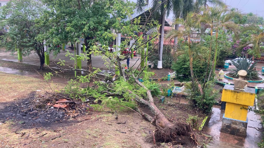 Alberto dejó derrumbes en Hidalgo, pero sin cierres carreteros “Efectivamente, se han presentado más derrumbes por piedras en la zona de la Sierra, pero principalmente en la zona de Nicolás Flores, en Parte de Chapulhuacán, Tepehuacán, pero hasta el momento no ha habido derrumbes graves”. Reportó que el pasado jueves una roca cayó en la comunidad de Los Planes, en el municipio de Huehuetla, afectando a una vivienda que, en ese momento se encontraba vacía. En ese sentido, Quijas Cruz explicó que se realizan los trabajos de limpieza con maquinaria de la Secretaría de Infraestructura Pública y Desarrollo Urbano Sostenible (SIPDUS), a fin de mantener la operatividad de las diferentes vías de comunicación, en tanto que no se reporta ningún riesgo a la infraestructura carretera. Además, manifestó que la entidad reporta el ingreso de humedad por parte de los dos litorales, lo que ocasiona lluvias constantes, que hasta el momento no ha presentado eventualidades, y que han recargado los mantos freáticos, por lo que los cuerpos de agua, apenas se han comenzado a recuperar. El servidor público consideró que la prevención es una de las mejores formas de minimizar el impacto de estos eventos naturales, no obstante que, es una labor integral que requiere la colaboración de múltiples entidades y la participación activa de la comunidad: “Por eso estamos pidiendo el apoyo de la población, para que no tiren basura en la calle, barran sus coladeras, pero sobre todo que se mantengan pendientes a las comunicaciones que hacen los medios y las autoridades pertinentes”, finalizó.