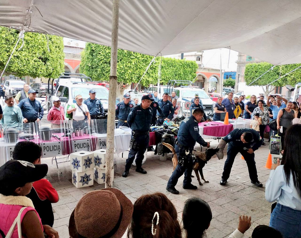 Policía Violeta fortalece acciones de prevención