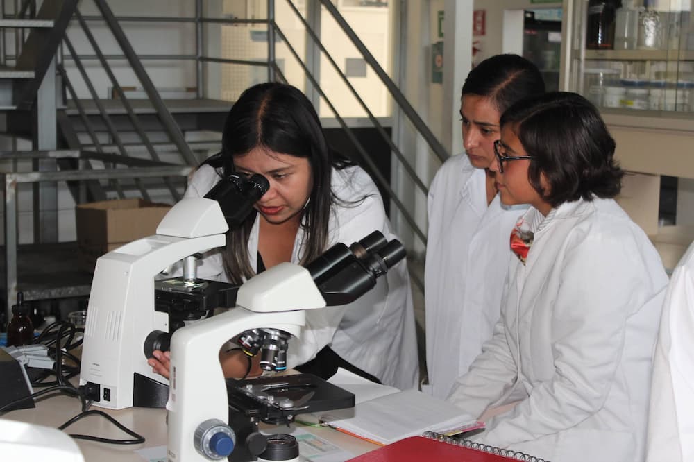 Docentes de la Universidad Politécnica de Pachuca son beneficiados por el Prodep