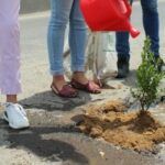 Vecinos de Mineral de la Reforma decorarán baches para pedir reparación