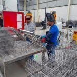 Hidalgo rompe récord en creación de empleo formal y lidera el crecimiento nacional