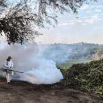 Realizan fumigación en presa Endhó