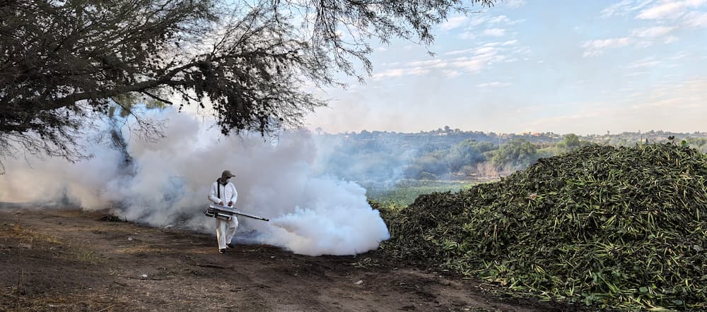 Realizan fumigación en presa Endhó