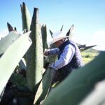 Impulsan formalización empresarial en Hidalgo con constitución de sociedades