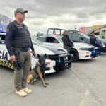 Disminuye percepción de inseguridad en Pachuca