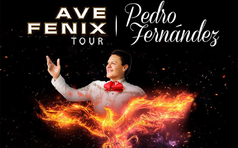Pedro Fernández en Pachuca: precios y dónde comprar boletos