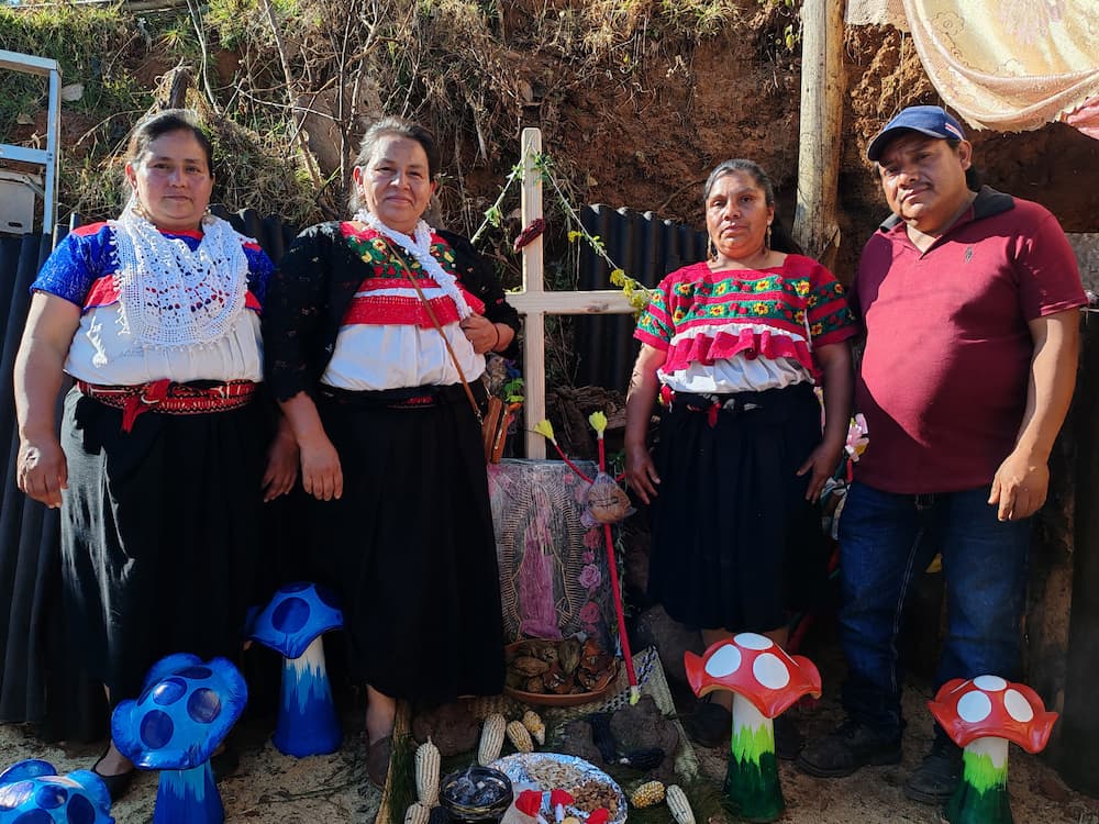 Aperturan comedor Casa de las hongueras, en Acaxochitlán