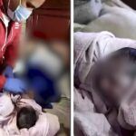 Auxilia C5i a joven de Zempoala tras labor de parto