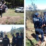 Despliegan operativo contra la tala clandestina en región Tulancingo