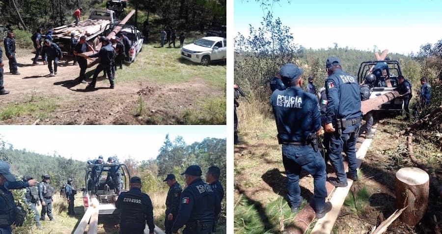 Despliegan operativo contra la tala clandestina en región Tulancingo
