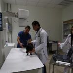 UAEH abre convocatoria para semestre Julio-Diciembre 2025
