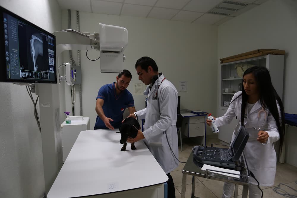 UAEH abre convocatoria para semestre Julio-Diciembre 2025