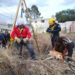 Rescatan Bomberos a perrito tras caer en hoyo profundo, en La Reforma